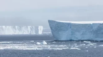 Iceberg